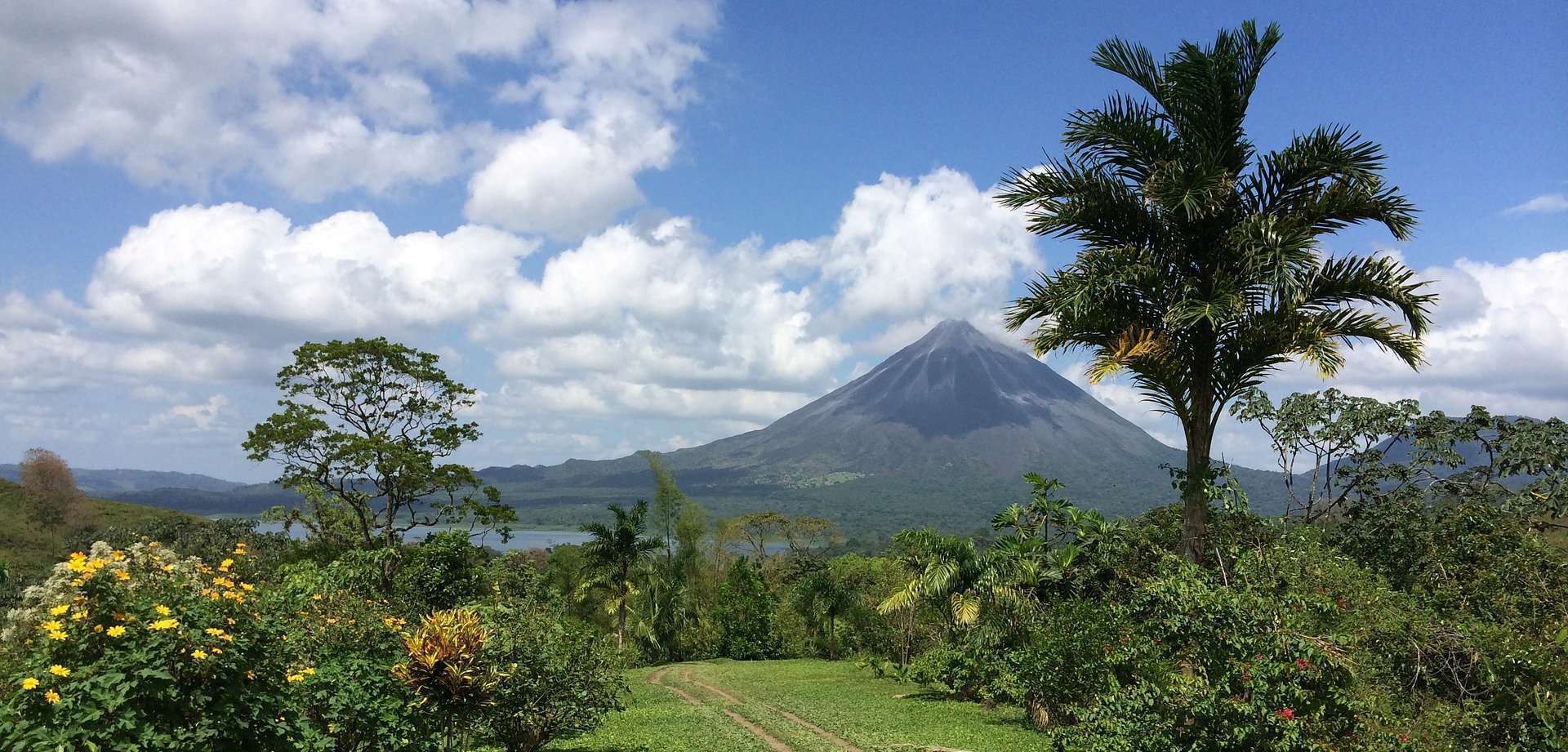 South & Central America